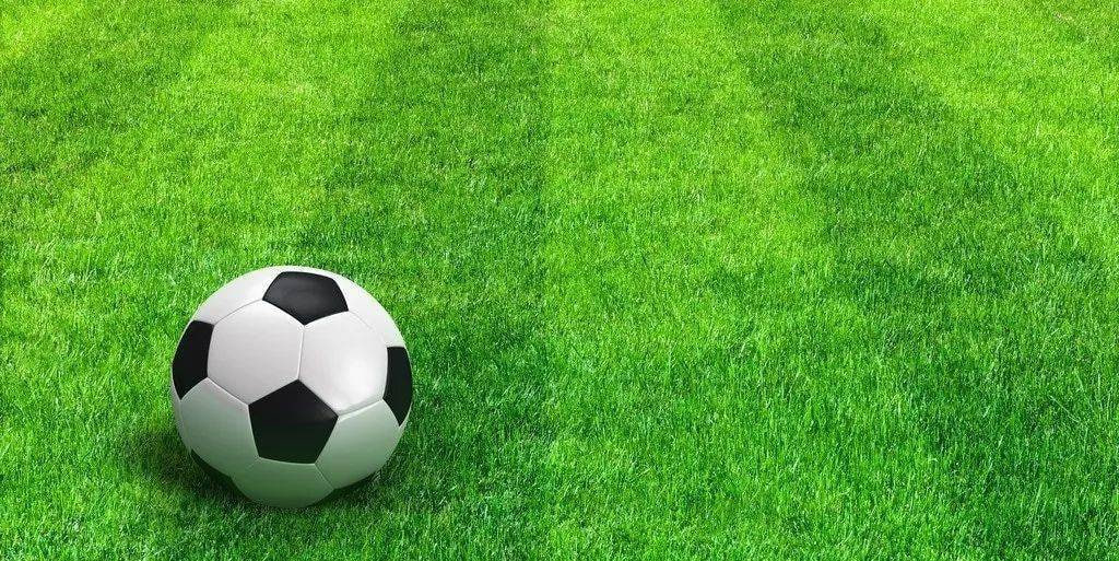 资深篮球迷使用场景